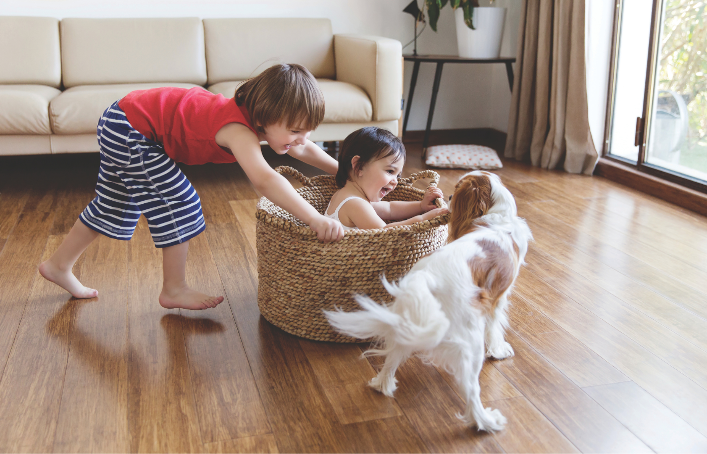 children playing on hardwood flooring with dog
