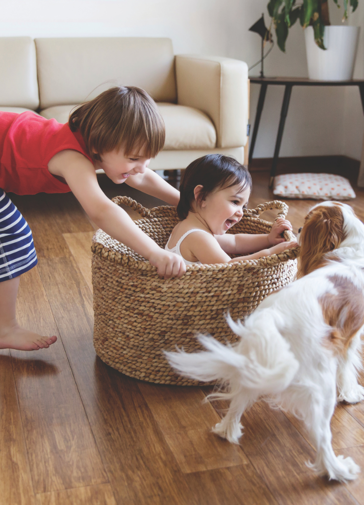 children playing on hardwood flooring with dog